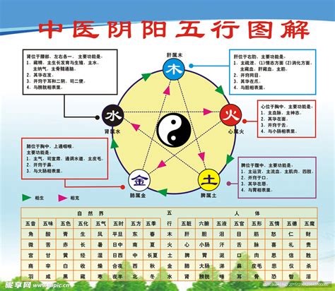 醫療 五行 屬性|五行